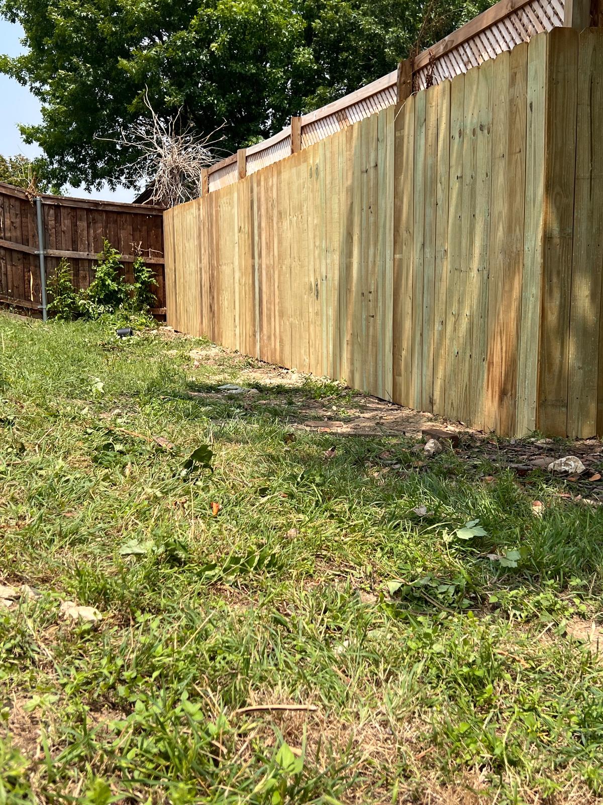 Pine privacy fence with lattice top