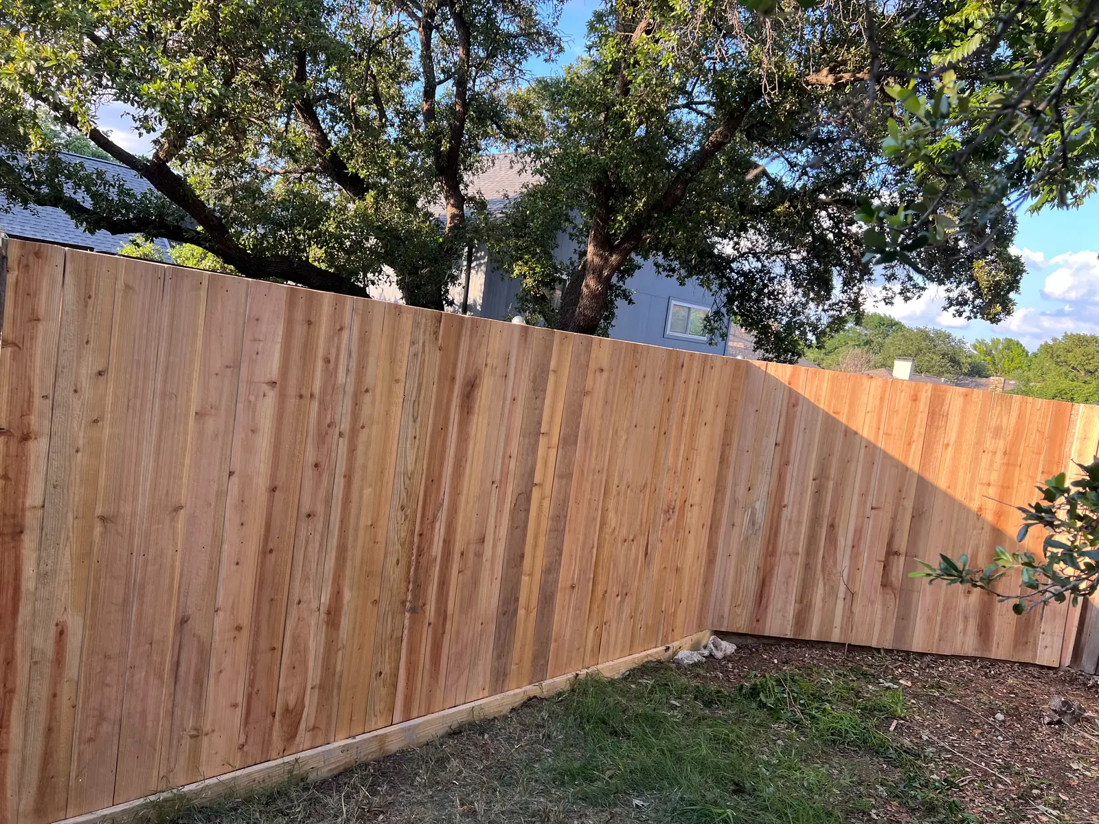 Cedar side-by-side pickets under the oaks